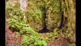 la Neigère dans le bois du Laizeret la Neigère dans le bois du Laizeret