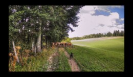 Comité d'accueil au Haut Mont Comité d'accueil au Haut Mont