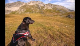 Vallon des Aiguilles Vallon des Aiguilles