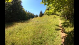 Vers le Gros Plane Vers le Gros Plane