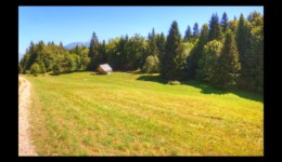 Châlet de la Plate Châlet de la Plate