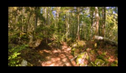 Descente vers les Granges de Montorset Descente vers les Granges de Montorset