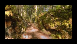 Descente vers les Granges de Montorset Descente vers les Granges de Montorset