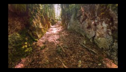 Descente vers les Granges de Montorset Descente vers les Granges de Montorset