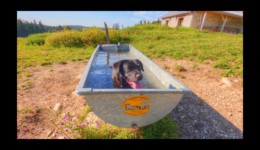 Rafraîchissement Rafraîchissement