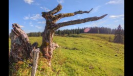 Les Loges Dessus Les Loges Dessus