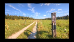 Les Loges Dessus Les Loges Dessus