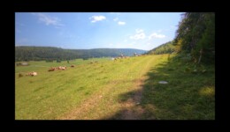 Combe des Cives Combe des Cives
