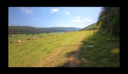 Combe des Cives Combe des Cives