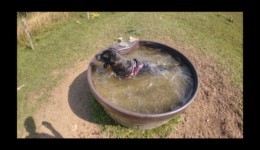 Petit bain chaud Petit bain chaud