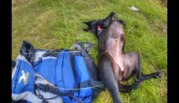 Pause au Rochas Blanc Pause au Rochas Blanc