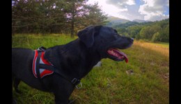 Pause au Rochas Blanc Pause au Rochas Blanc