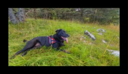 Pause au Rochas Blanc Pause au Rochas Blanc