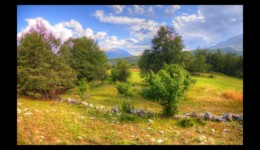 Le Rochas Blanc Le Rochas Blanc