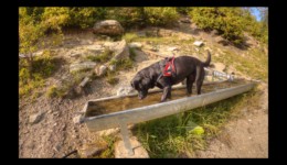 Rafraîchissement à la source après le Rochas Blanc Source après le Rochas Blanc
