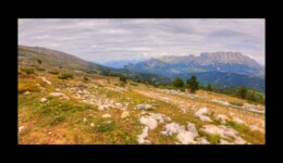 Vers Serre Long Vers Serre Long