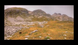 Vers le Vallonnet Vers le Vallonnet