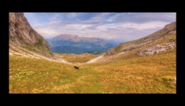 Vue depuis le Vallonnet Vue depuis le Vallonnet