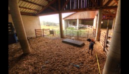 La bergerie de Pied Gros. Abri providentiel La bergerie de Pied Gros