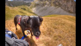 A l'entrée du Vallon d'Ane A l'entrée du Vallon d'Ane