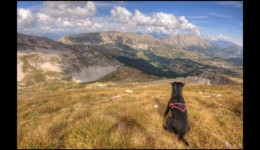 Sur les crêtes de Coste Belle Sur les crêtes de Coste Belle