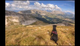Sur les crêtes de Coste Belle Sur les crêtes de Coste Belle