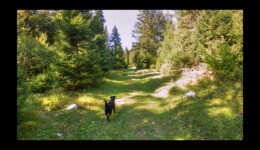 au dessus de la Grobet au dessus de la Grobet