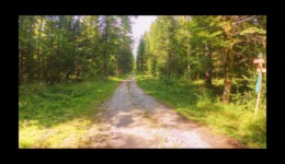 forêt de la Bourre forêt de la Bourre