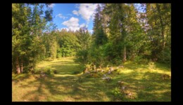 forêt de la Bourre forêt de la Bourre