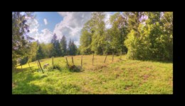 la Petite Bourre la Petite Bourre