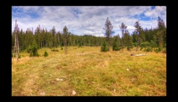 Plaine de Combe Noire Plaine de Combe Noire