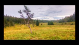 Plaine de Combe Noire Plaine de Combe Noire