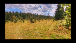 Plaine de Combe Noire Plaine de Combe Noire