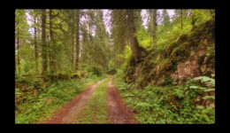 Combe Noire Combe Noire