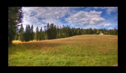 Chalet de Combe Noire Chalet de Combe Noire