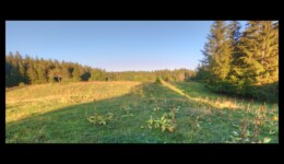 vers la Boivine vers la Boivine