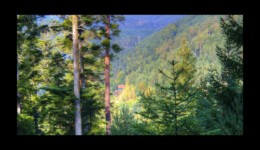 Vallée de la Canceley Vallée de la Canceley