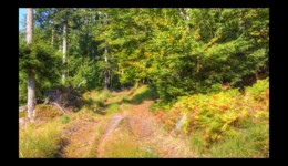 Montée vers le col de la Sayotte Montée vers le col de la Sayotte