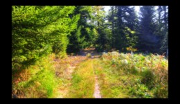 Montée vers le col de la Sayotte Montée vers le col de la Sayotte