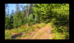 Montée vers le col de la Sayotte Montée vers le col de la Sayotte