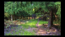 Vers le rocher du Canceley Vers le rocher du Canceley