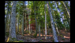 Rocher du Canceley Rocher du Canceley