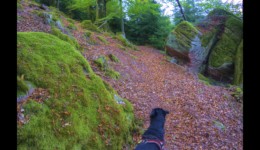 Rocher du Canceley Rocher du Canceley