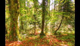 vers la Côte Enverse vers la Côte Enverse