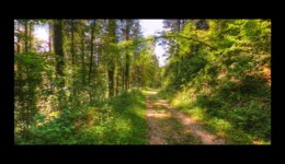 vers la Côte Enverse vers la Côte Enverse