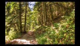 vers la Côte Enverse vers la Côte Enverse