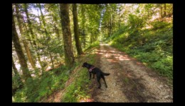 vers la Côte Enverse vers la Côte Enverse