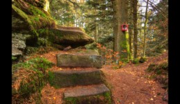 Escalier pour accéder au sommet du Urstein Escalier pour accéder au sommet du Urstein