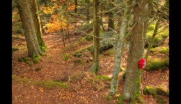 En haut du Urstein En haut du Urstein
