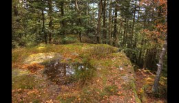 En haut du Urstein En haut du Urstein